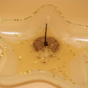 Dandelion Yellow Star Trinket Tray