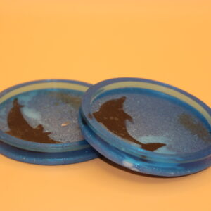 Dolphin Coasters